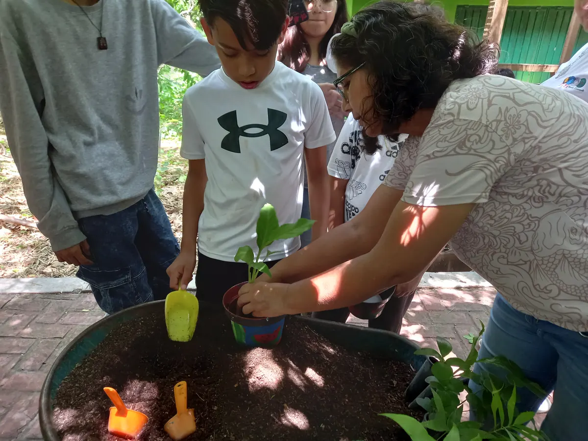 Mundo Consciente 2023 - jardineria siembra guias